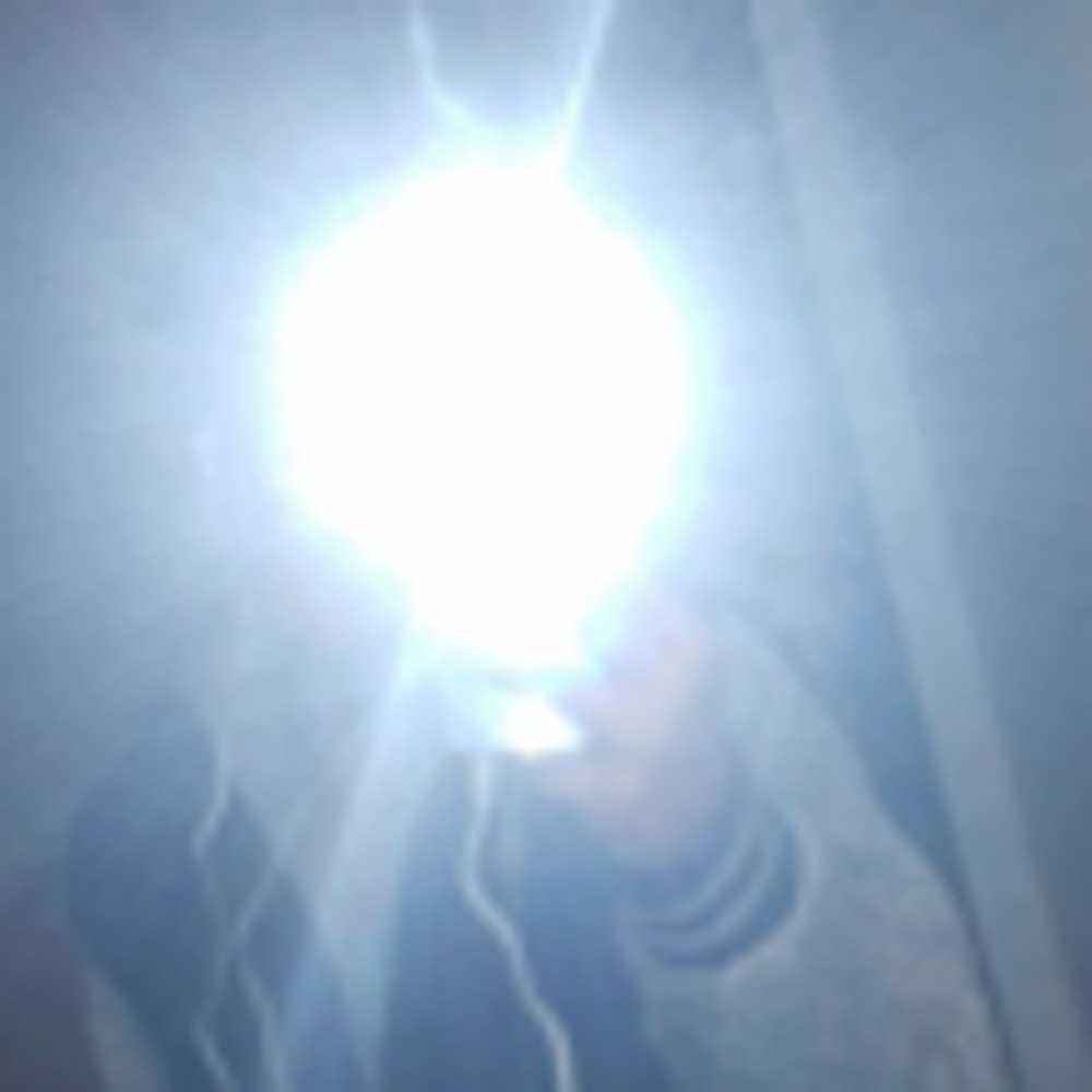 Meet your Posher, Emu